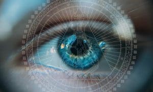 The Art of Seeing