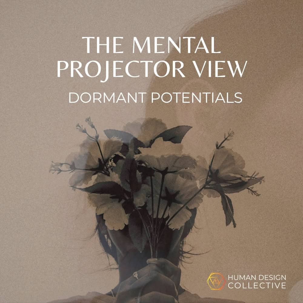 The Mental Projector View